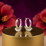 Load image into Gallery viewer, 925 Silver Moonstone Hoop Earrings | Women's Dangle Jewelry