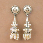 将图像加载到图库查看器中, 925 Silver Tassel Pearl Earrings for Women | Dangle Earrings