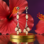 Load image into Gallery viewer, 925 Silver Stone Drop Earrings | Women's Elegant Jewelry