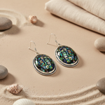 Load image into Gallery viewer, 925 Silver Abalone Shell Earrings for Women | Dangle Jewelry
