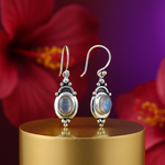 Load image into Gallery viewer, 925 Sterling Silver Moonstone Drop Earrings for Women | Gift
