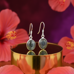 Load image into Gallery viewer, 925 Silver Labradorite Drop Earrings | For Women | Gift