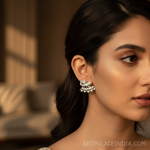 将图像加载到图库查看器中, 女士银色立方氧化锆扇形耳环 | 精致首饰