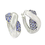 将图像加载到图库查看器中, Silver Hoop Earrings with Blue Gemstones | Women's Jewelry