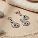 Load image into Gallery viewer, Silver Crystal Dangle Earrings | Women's Jewelry | Gift