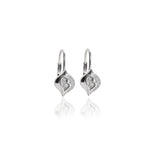 Load image into Gallery viewer, 925 Silver Cubic Zirconia Heart Earrings for Women | Gift Jewelry