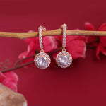 将图像加载到图库查看器中, Rose gold plating Halo Drop Earrings with Cubic Zirconia | For Women