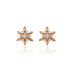 Load image into Gallery viewer, gold plating Floral Stud Earrings with Diamonds | Women's Jewelry Gift