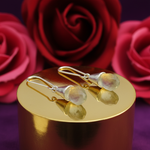 Load image into Gallery viewer, Silver Teardrop Earrings with Gemstone | Dangle Earrings for Women
