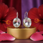 将图像加载到图库查看器中， 925纯银水晶水滴耳环（女士款）| 礼品首饰
