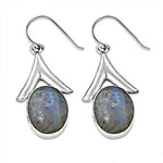 Load image into Gallery viewer, 925 Silver Moonstone Teardrop Earrings for Women | Gift
