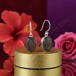 Load image into Gallery viewer, 925 Silver Labradorite Drop Earrings | Women's Jewelry Gift
