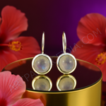 Load image into Gallery viewer, 925 Silver Moonstone Drop Earrings for Women | Dangle Earrings
