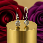 Load image into Gallery viewer, 925 Silver Moonstone Drop Earrings for Women | Daily Wear Gift
