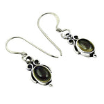 Load image into Gallery viewer, 925 Silver gold platingstone Earrings for Women | Dangle Earrings
