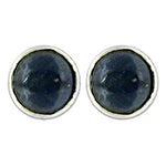 将图像加载到图库查看器中， 925 Silver Stud Earrings | Dark Blue Gemstone | For Women
