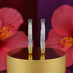 将图像加载到图库查看器中， 925纯银镶嵌立方氧化锆耳环，女士款 | 日常佩戴
