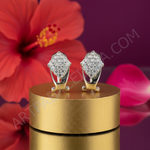 将图像加载到图库查看器中， 925纯银镶嵌立方氧化锆耳环（女士款）| 精致首饰
