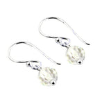 Load image into Gallery viewer, 925 Silver Faceted Crystal Drop Earrings for Women | Gift
