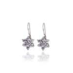 Load image into Gallery viewer, 925 Silver Flower Earrings | Cubic Zirconia | Women&#39;s Jewelry
